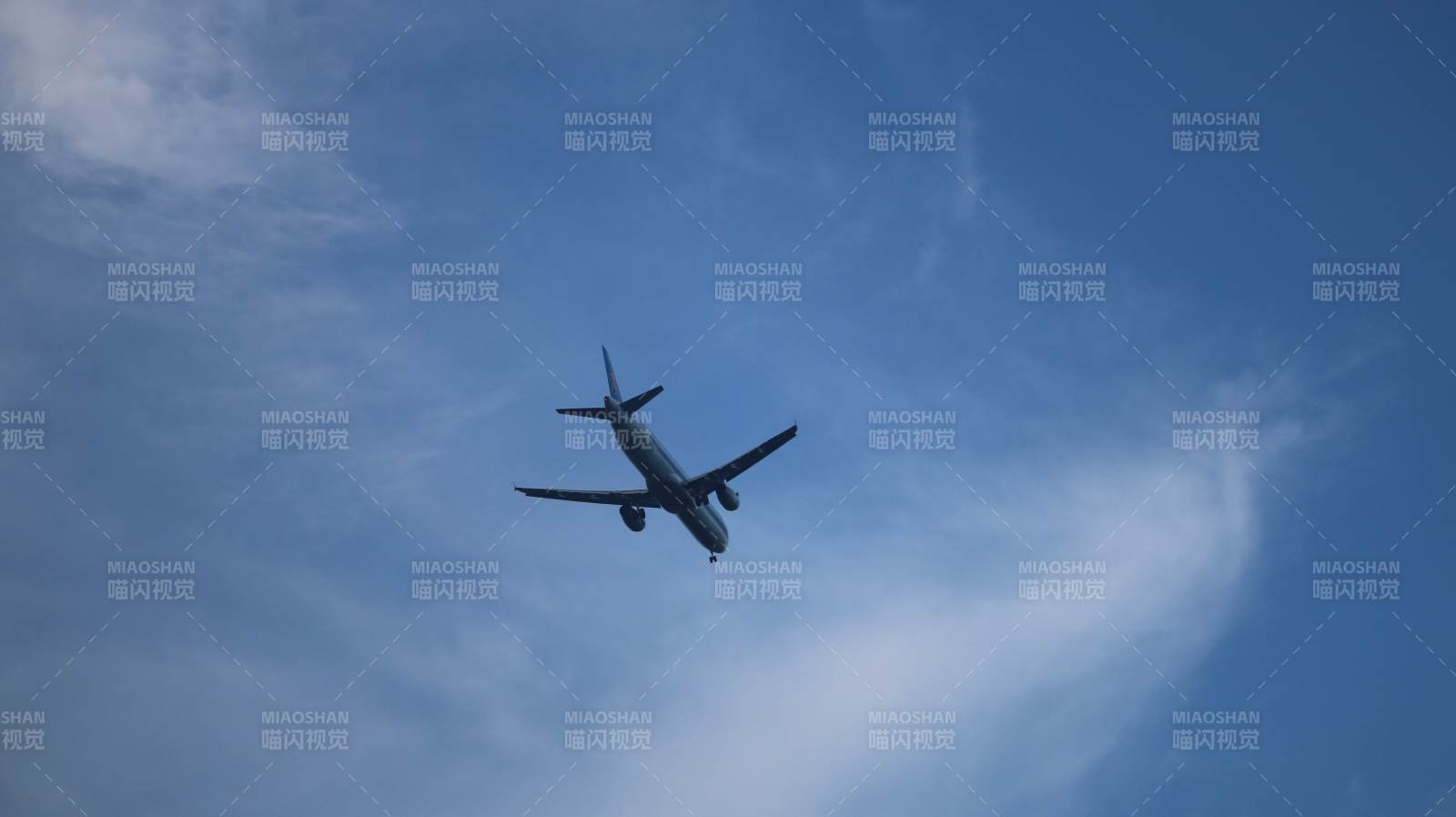 蓝天下的飞行瞬间图片