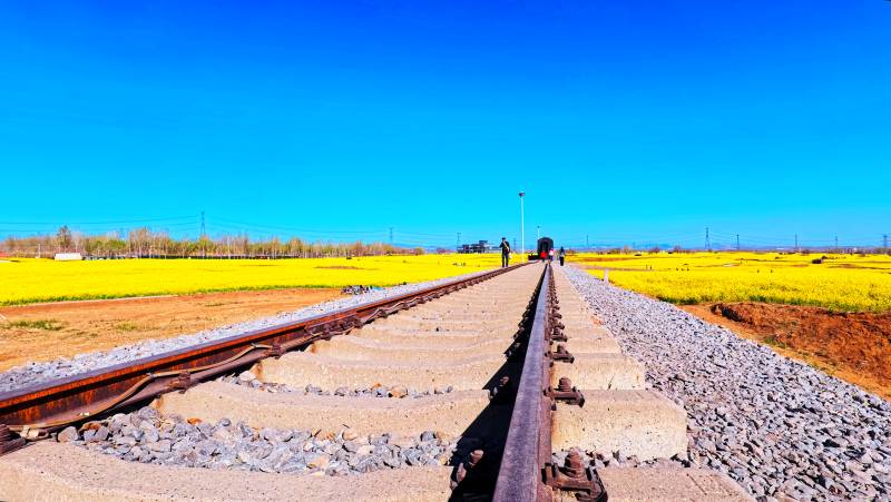 油菜花田里开往春天的列车图片