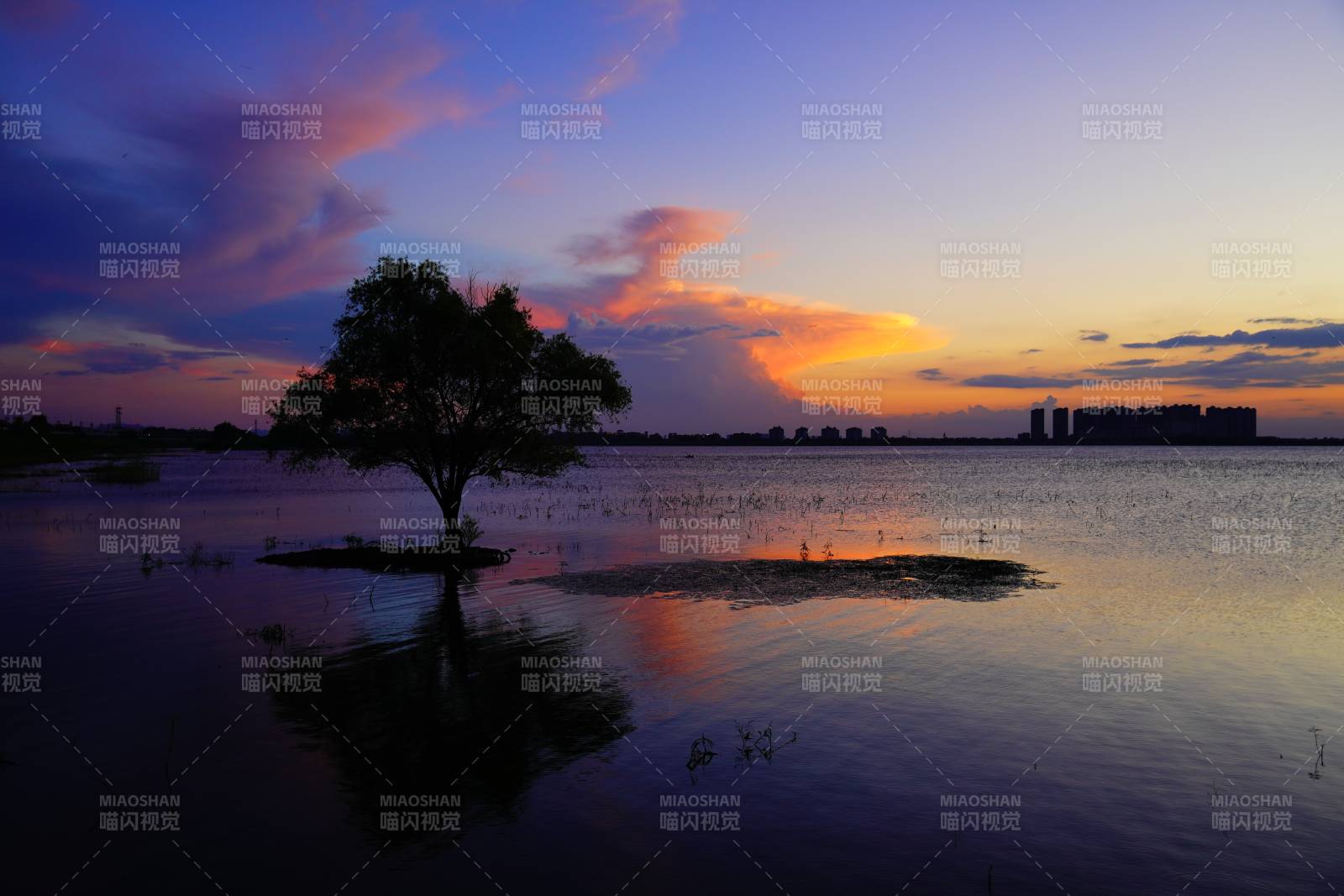 湖畔夕阳 树影婆娑 芜湖外龙窝湖湿地公园图片