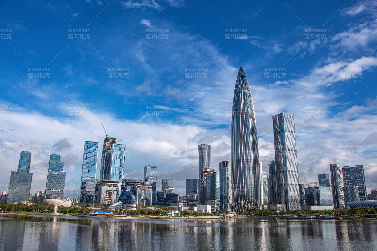 深圳人才公园–华润春笋大厦图片