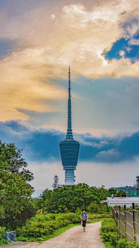 深圳电视塔图片