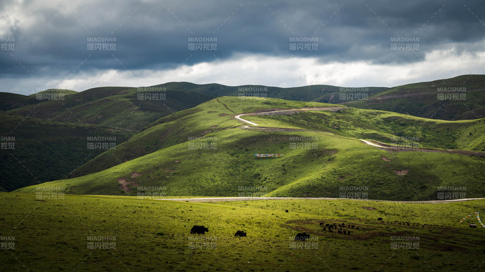 川西草原风光 绿野蜿蜒图片