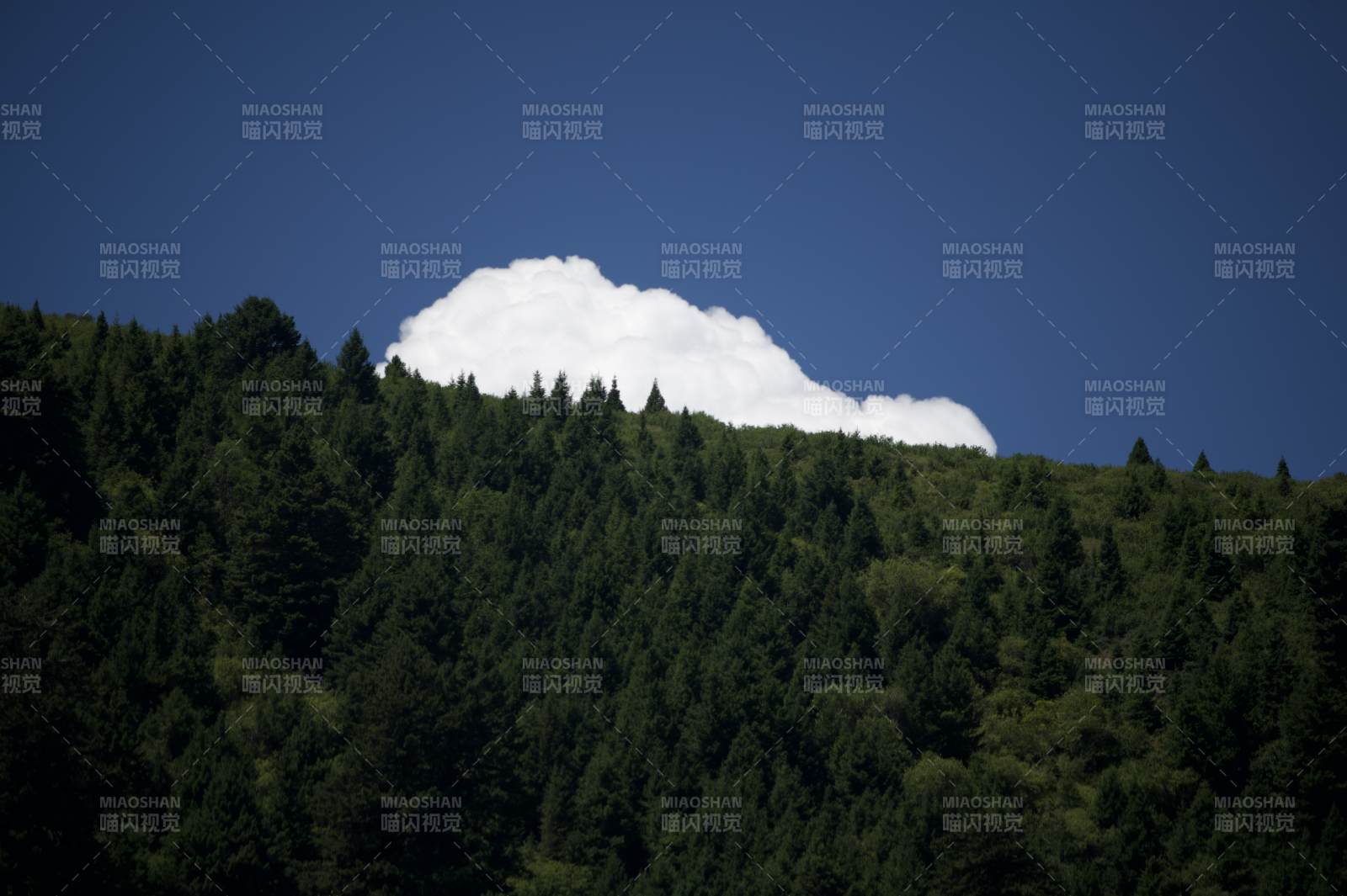 山林之上云雾缭绕图片