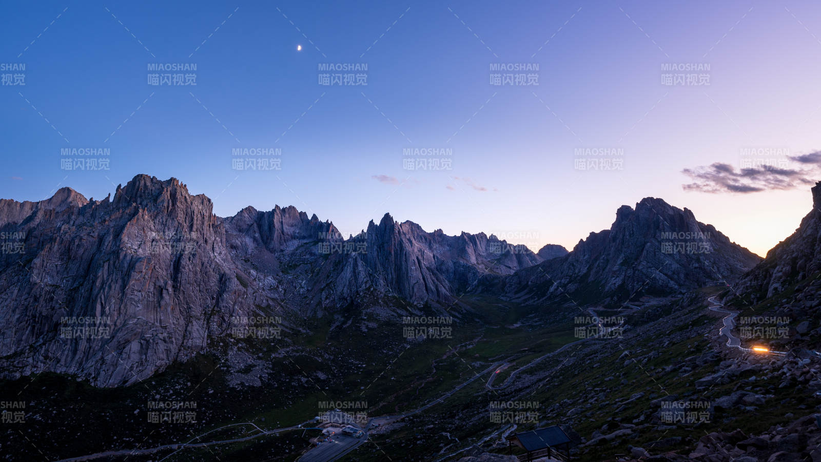 莲宝叶则蓝调图片