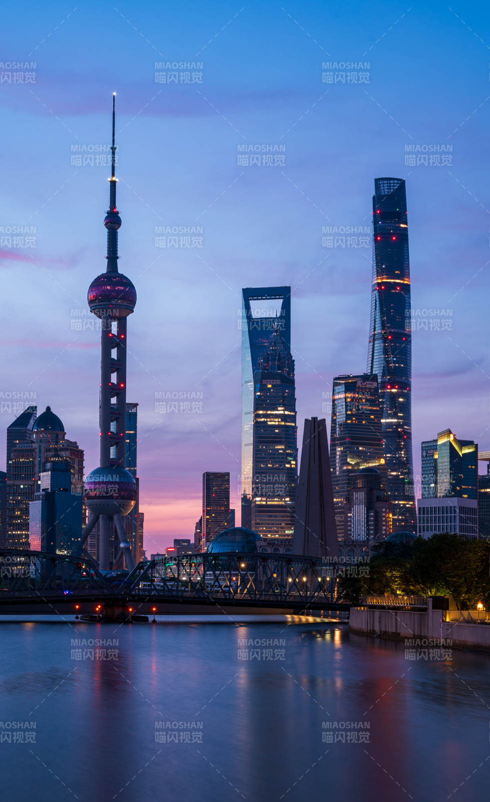 上海夜景 东方明珠与高楼群图片