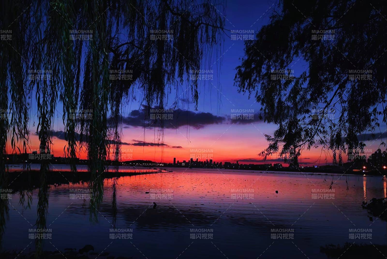 湖畔黄昏 树影婆娑图片