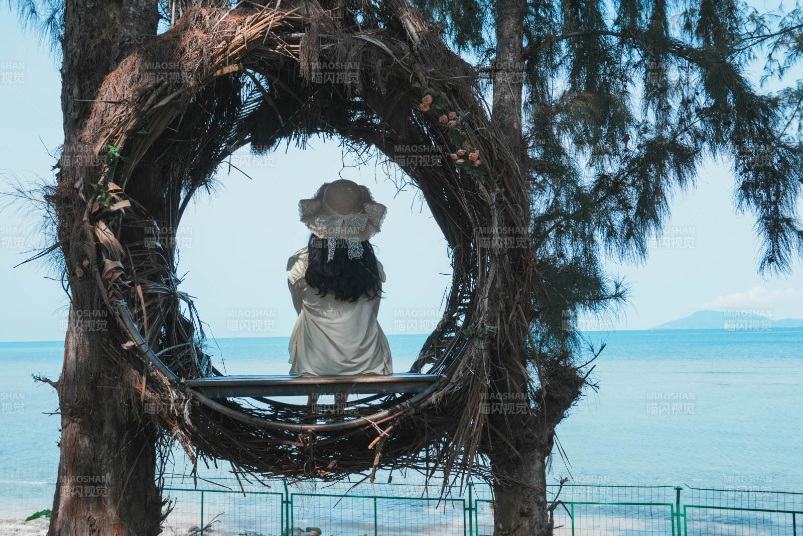 海边树巢中的宁静时光图片