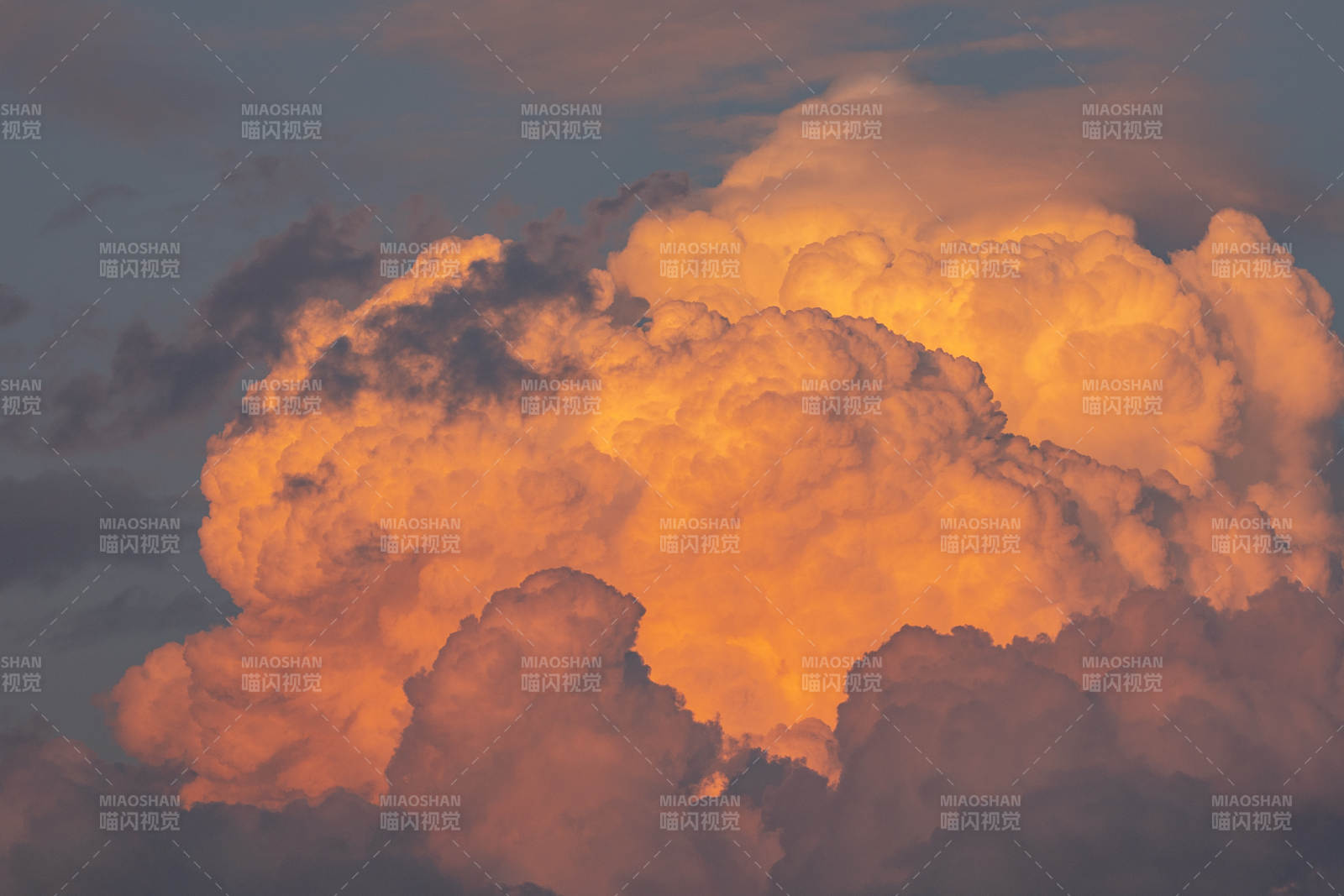 夕阳下的金色云海图片