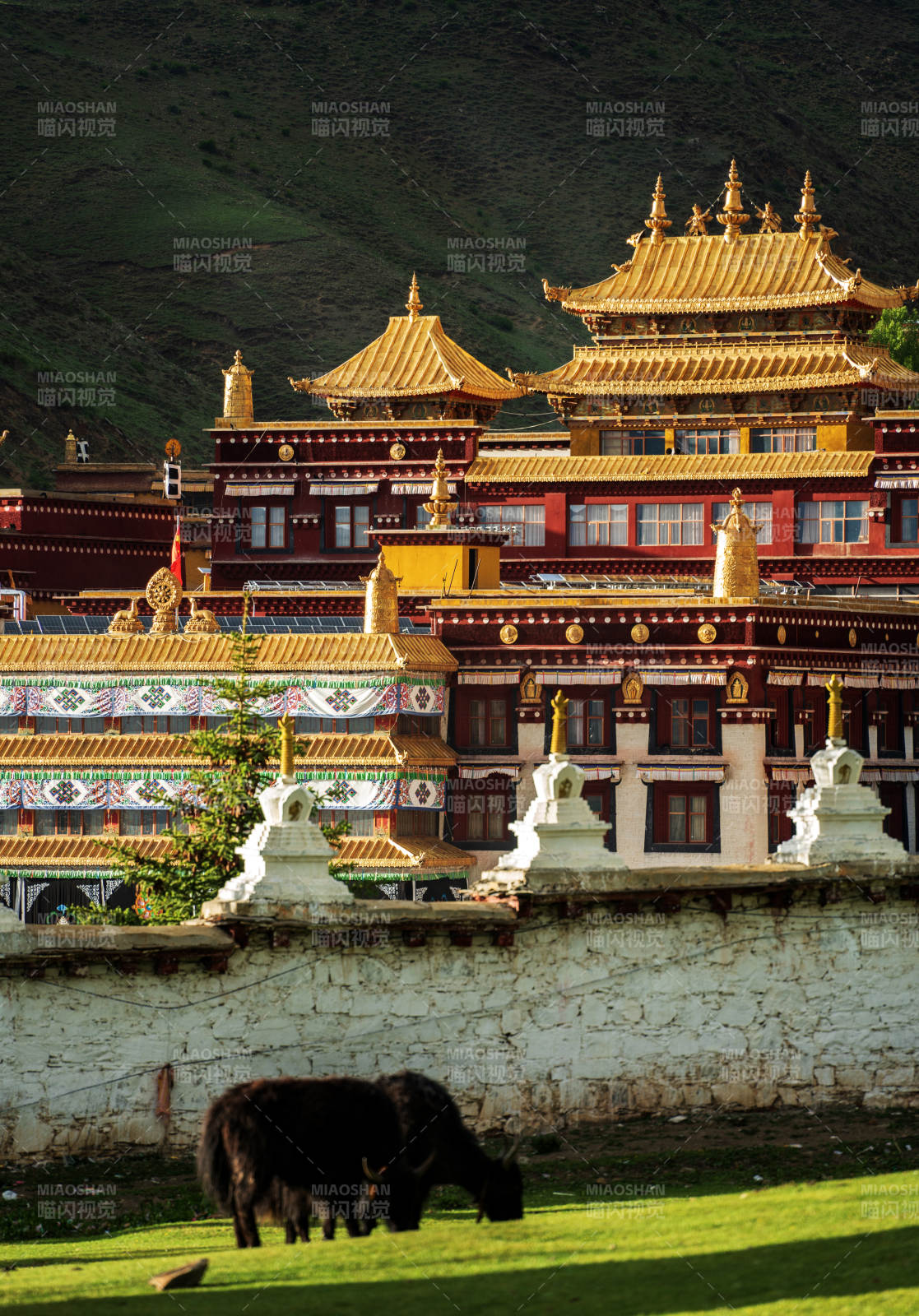 理塘长青春科尔寺图片