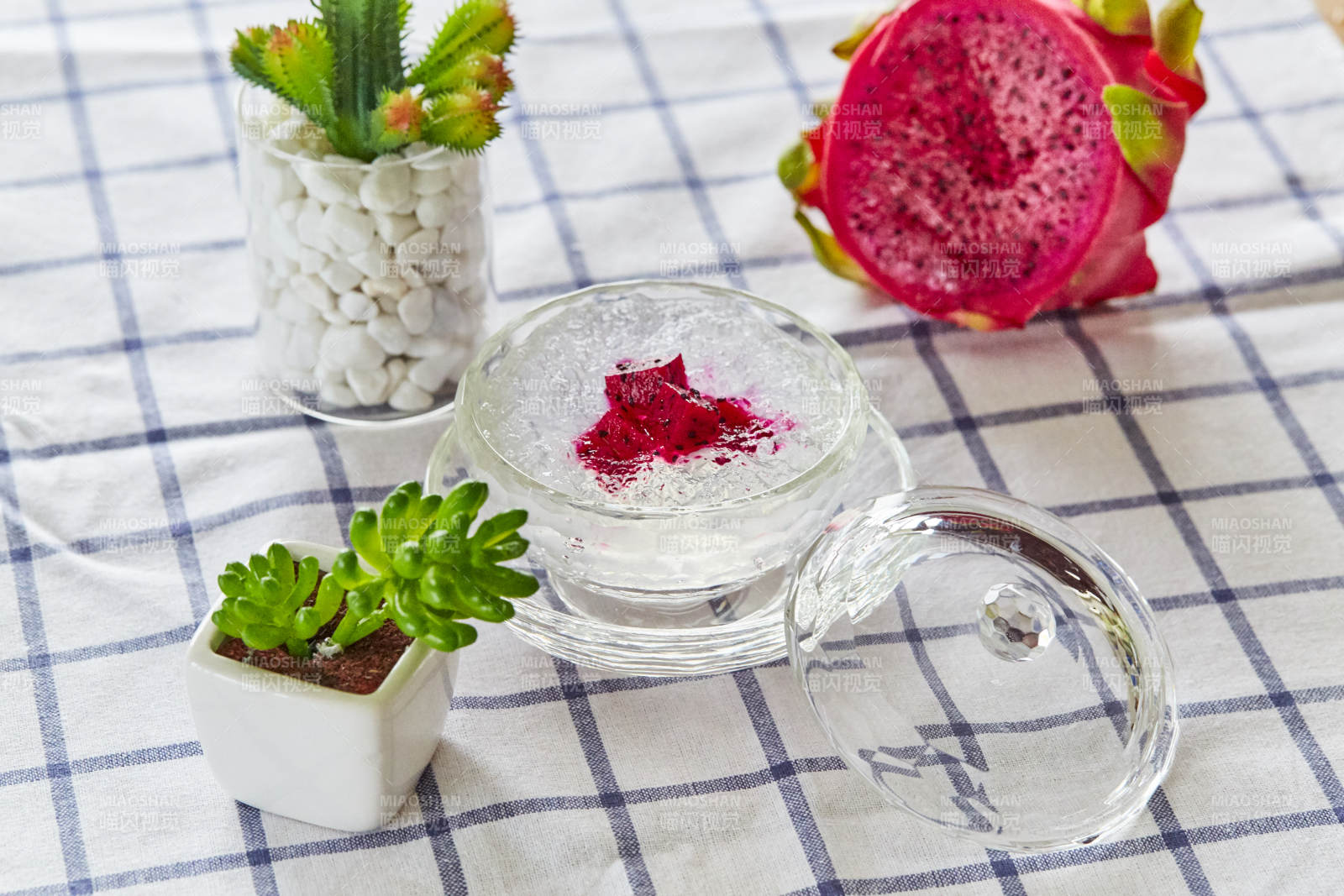 火龙果鲜炖燕窝与多肉植物图片