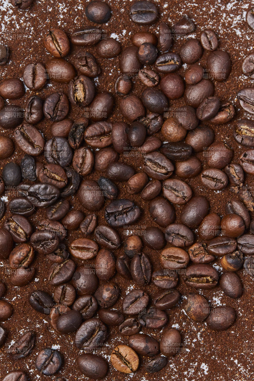 咖啡豆的香气世界图片