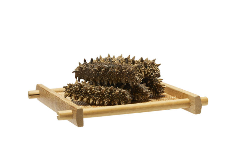 海参干品展示图图片