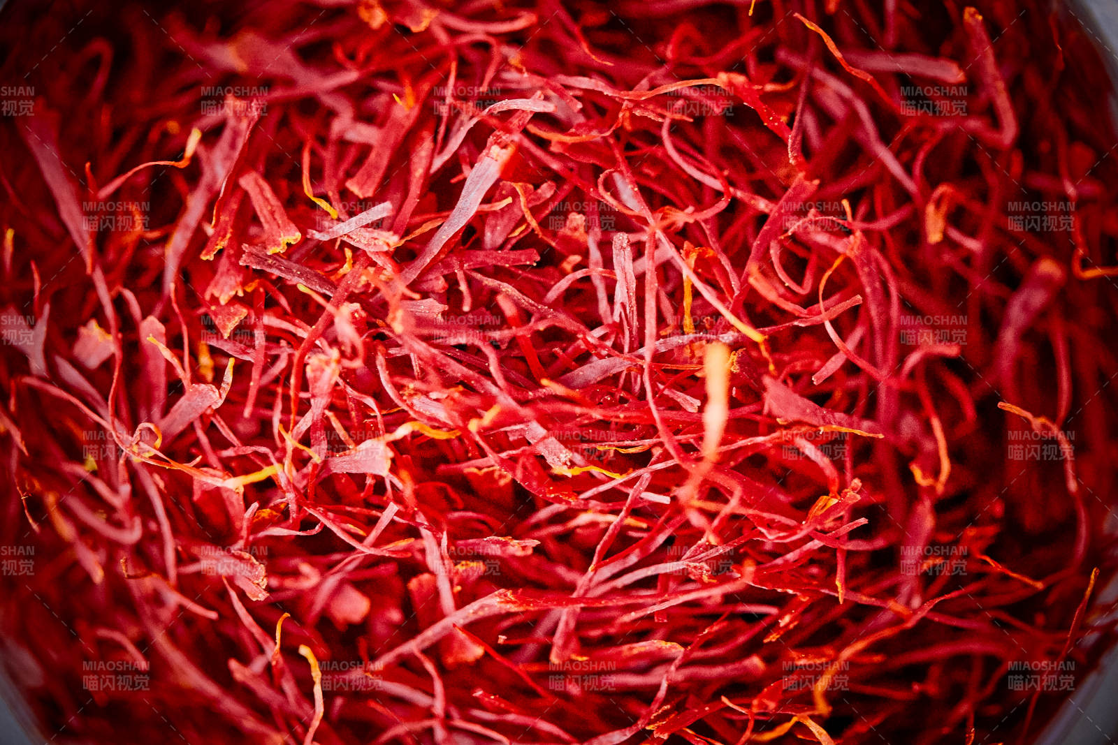 藏红花特写图片