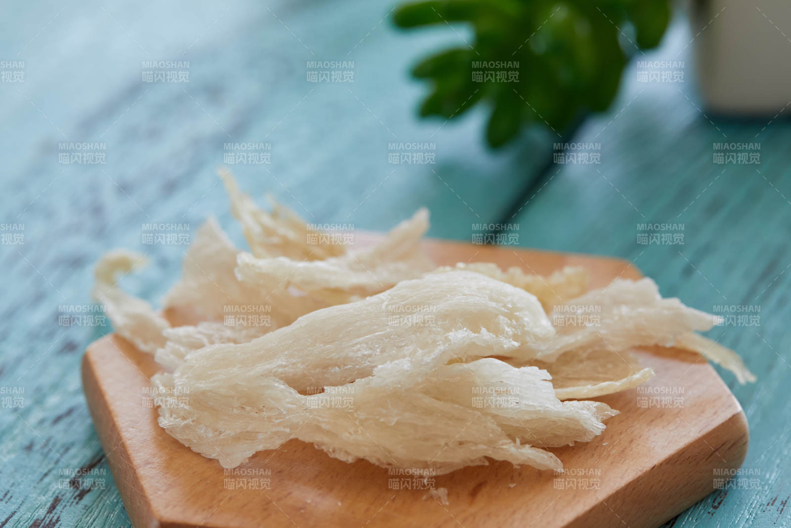 燕窝特写 清新自然背景图片