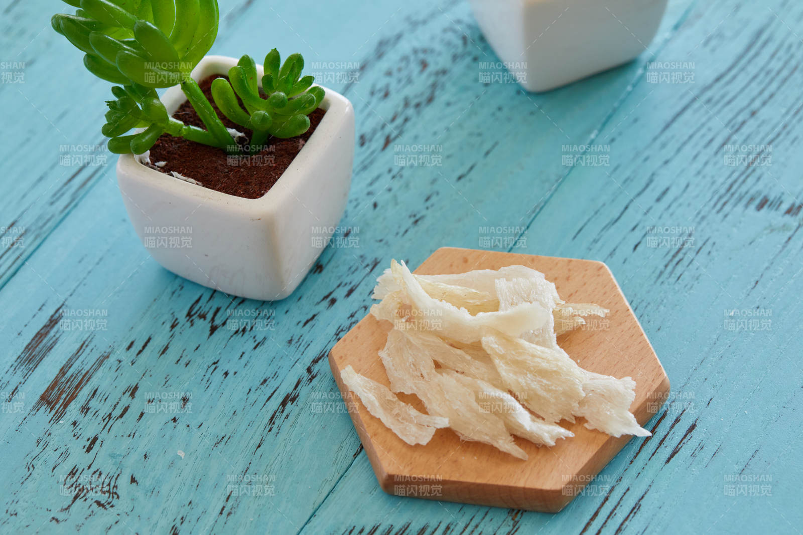 燕窝与绿植的静谧时光图片