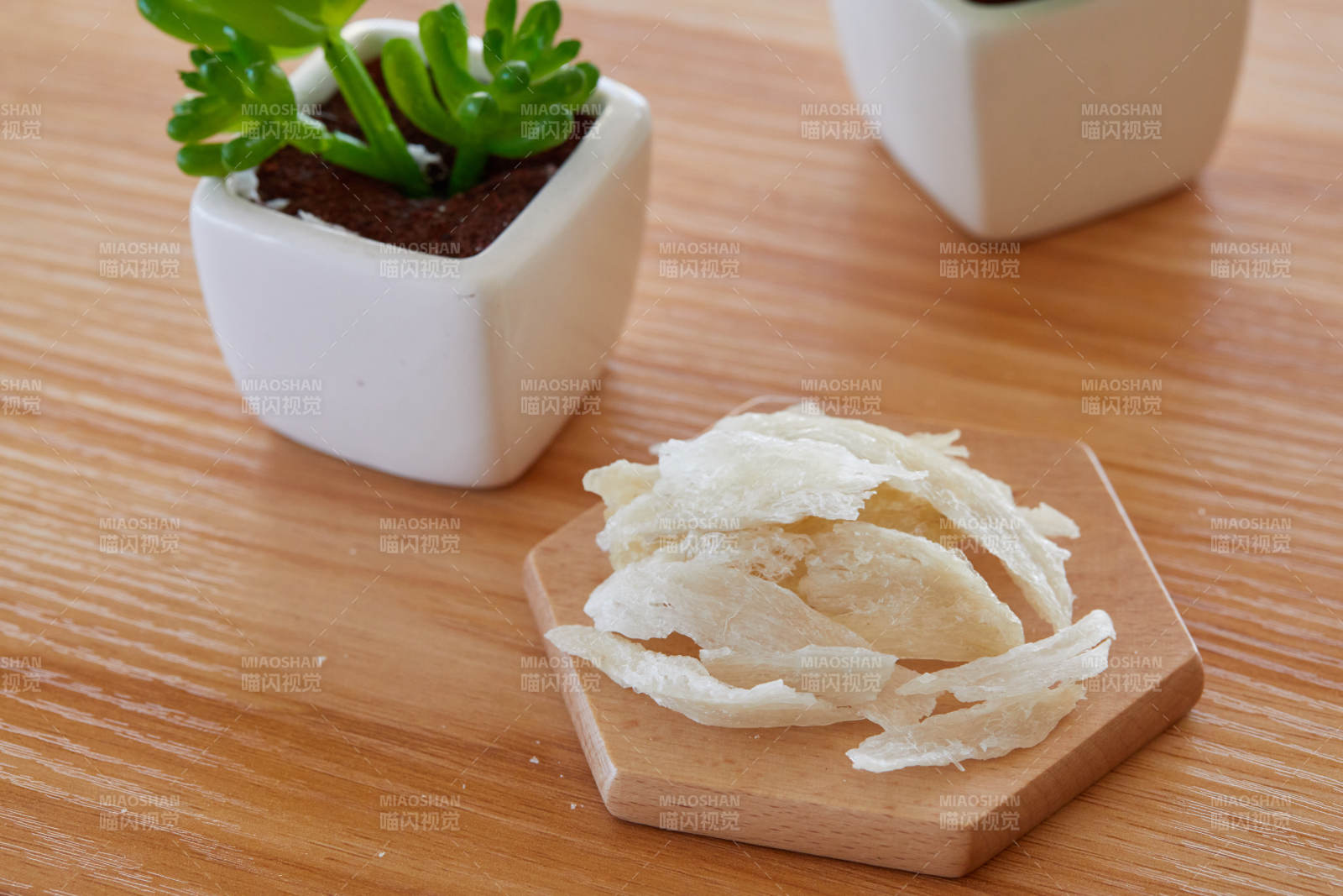 燕窝与绿植静谧时光图片