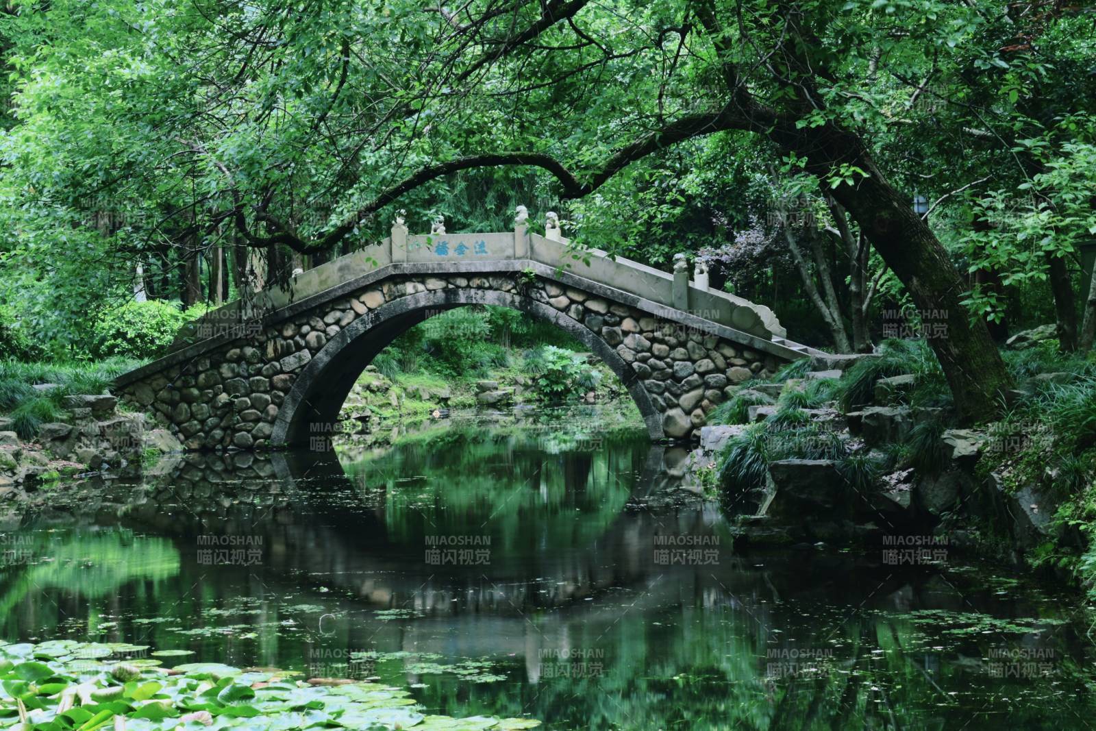 古桥映绿 静谧幽境图片