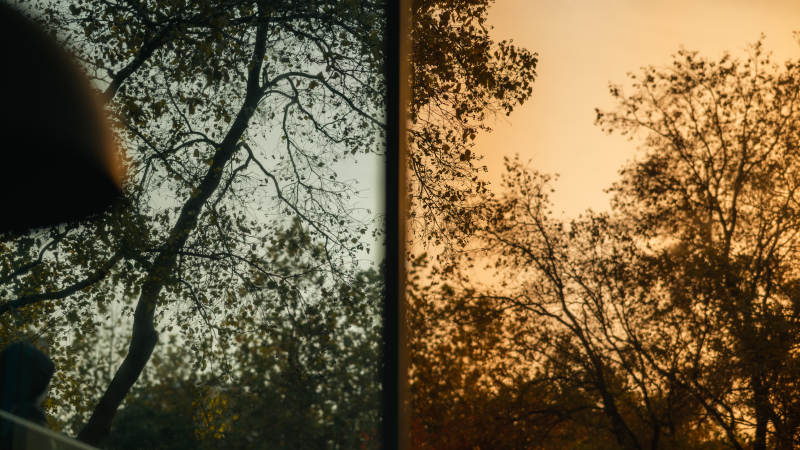 窗内外的秋日光影对比图片