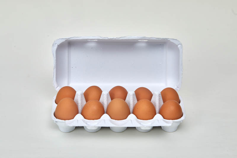鸡蛋盒中的十个鸡蛋图片