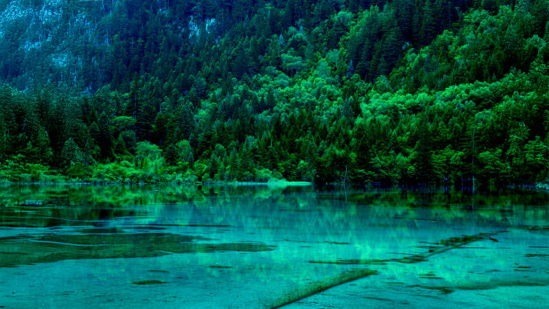 翠绿山谷 静谧湖水(九寨沟)图片