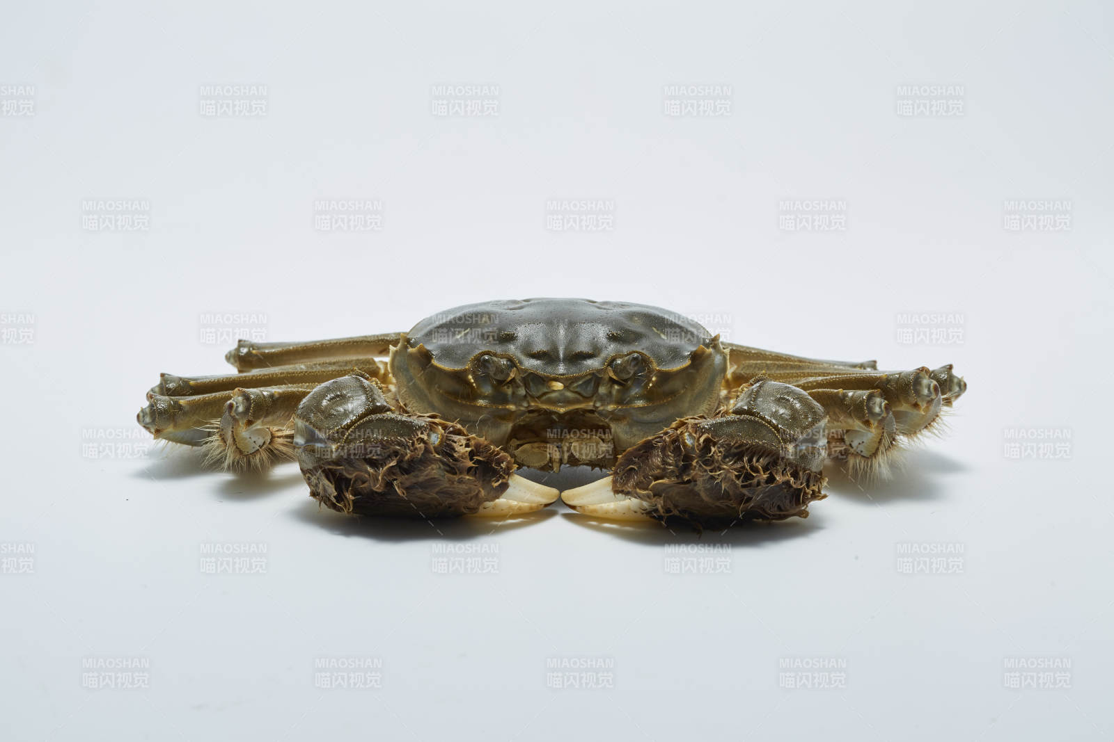 金蟹摆件 精致工艺展示图片