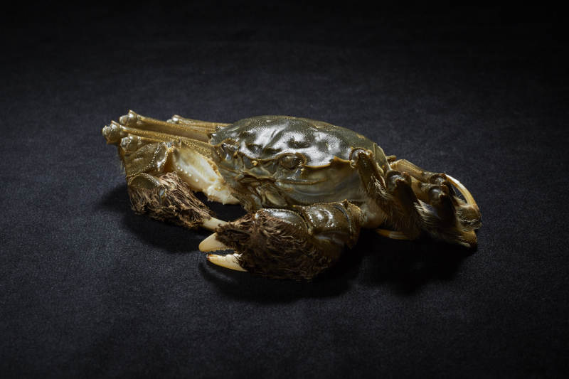 精致雕刻的螃蟹艺术品图片