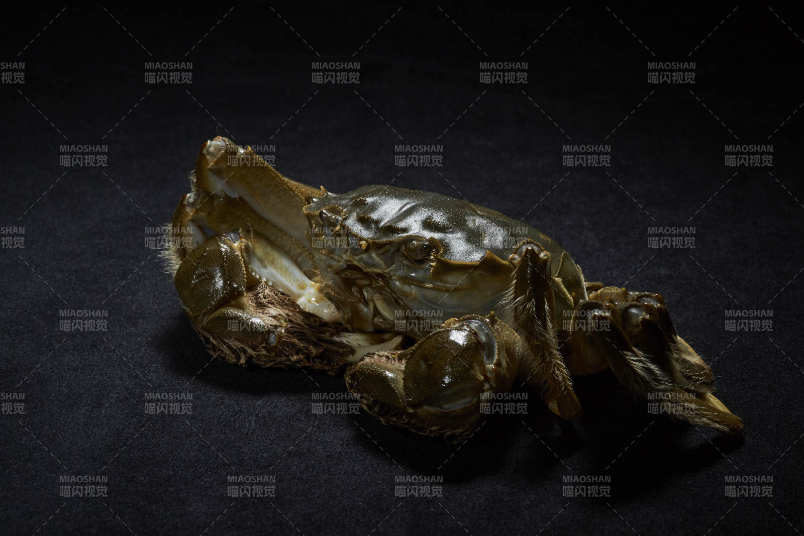 螃蟹的特写镜头图片