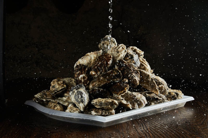 新鲜牡蛎 水滴飞溅图片