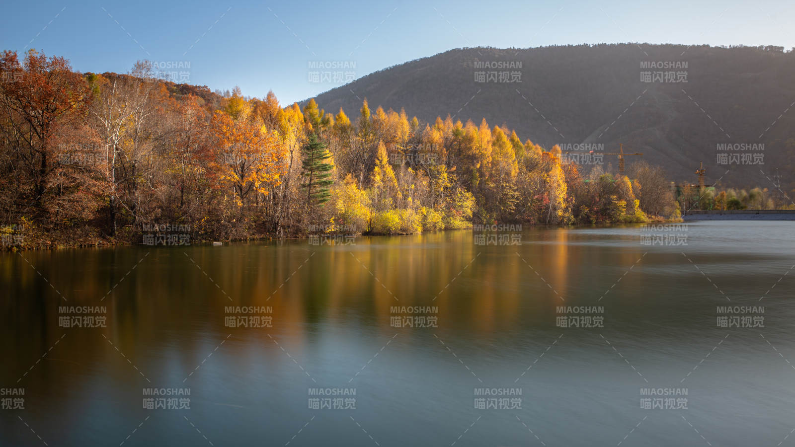 秋日湖畔 金叶映水图片