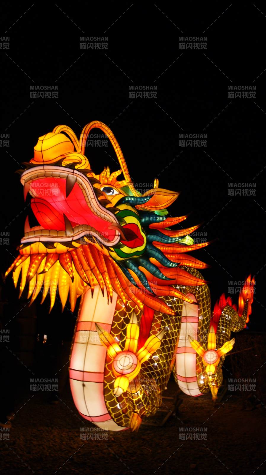 夜色中的龙形灯笼图片