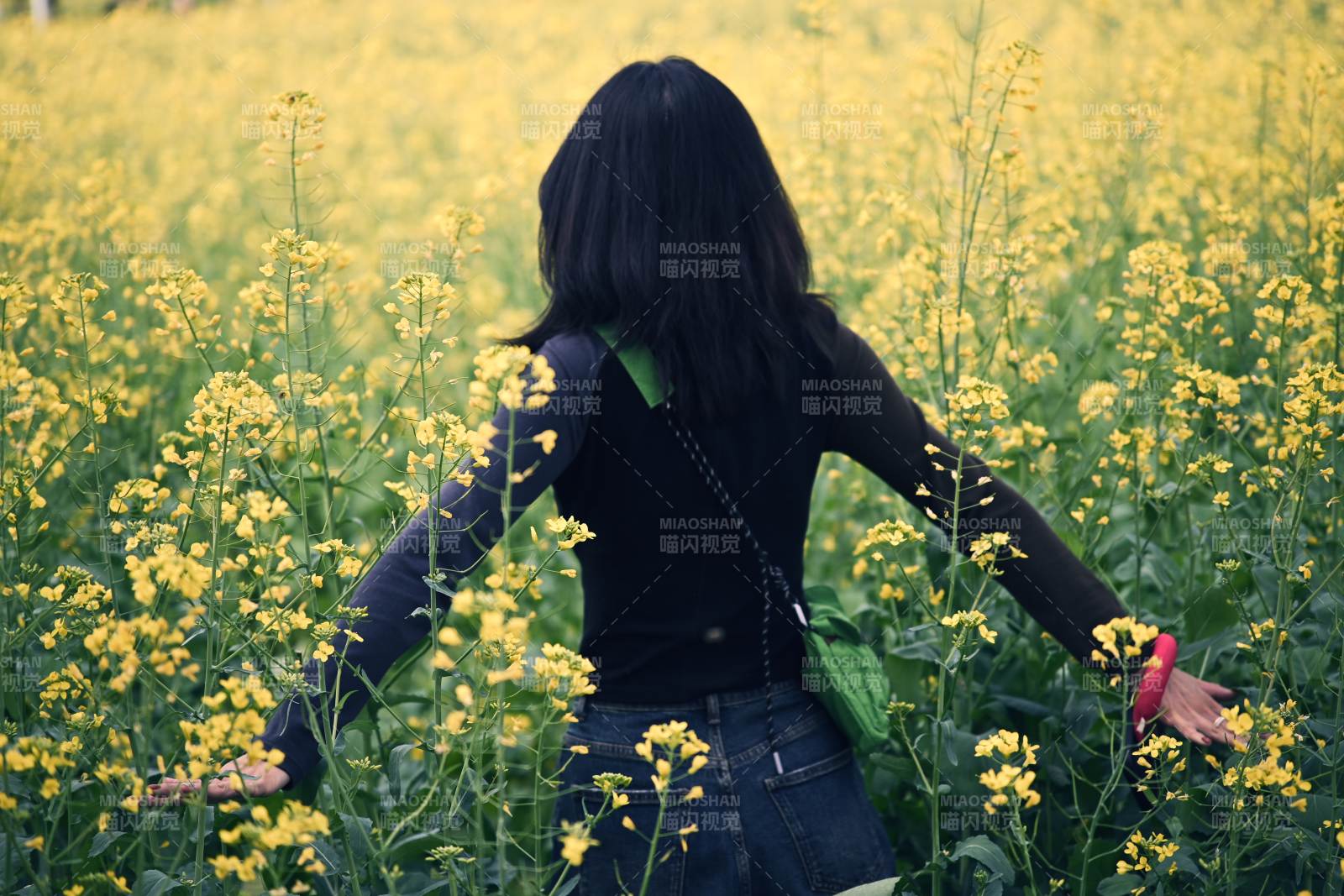 花海中的背影图片