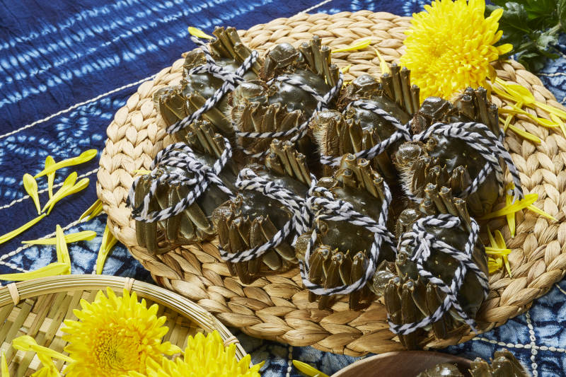 秋日蟹宴 菊香相伴图片