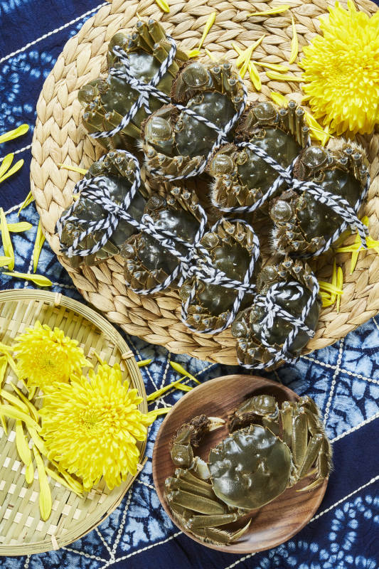 大闸蟹与菊花的秋日盛宴图片