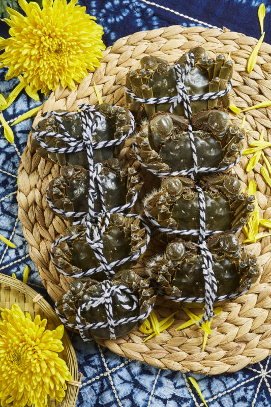 大闸蟹礼盒装新鲜美味图片