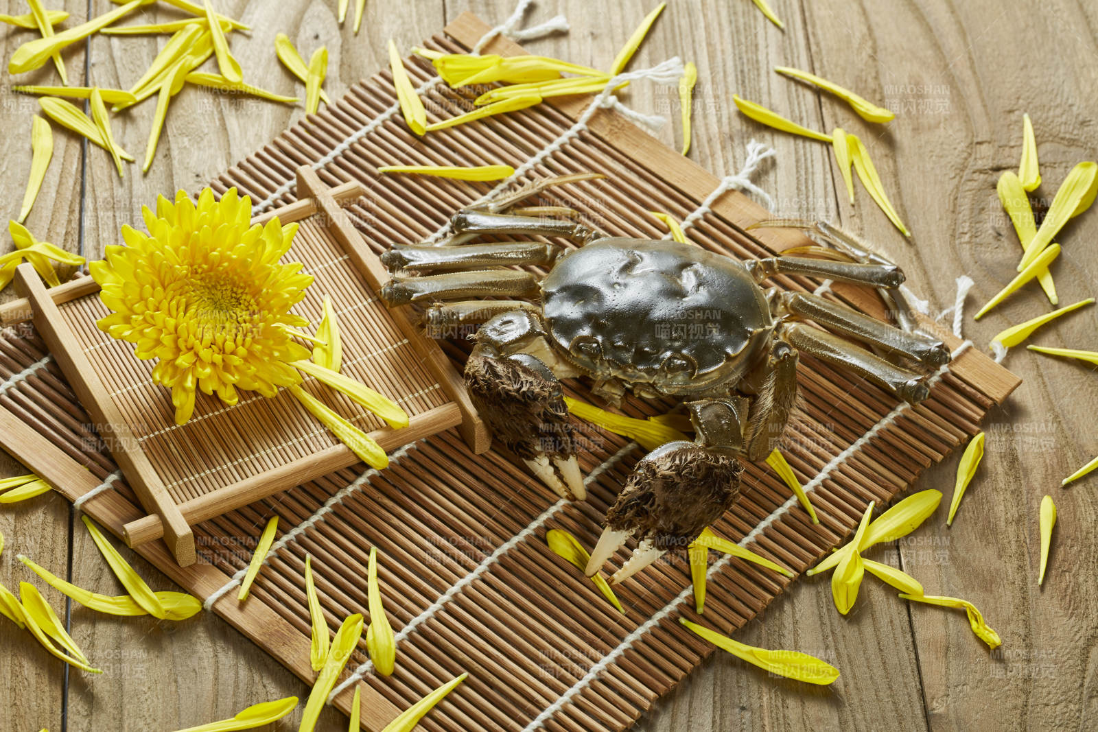 秋日蟹宴 菊花相伴图片