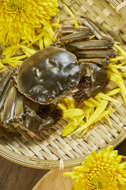 秋日蟹宴 菊香相伴图片