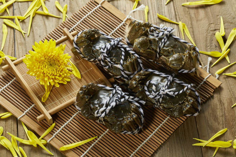 蒸螃蟹与菊花点缀图片