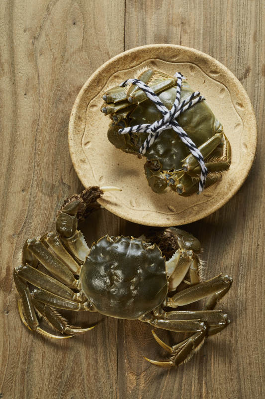 盘中两只绑绳螃蟹图片