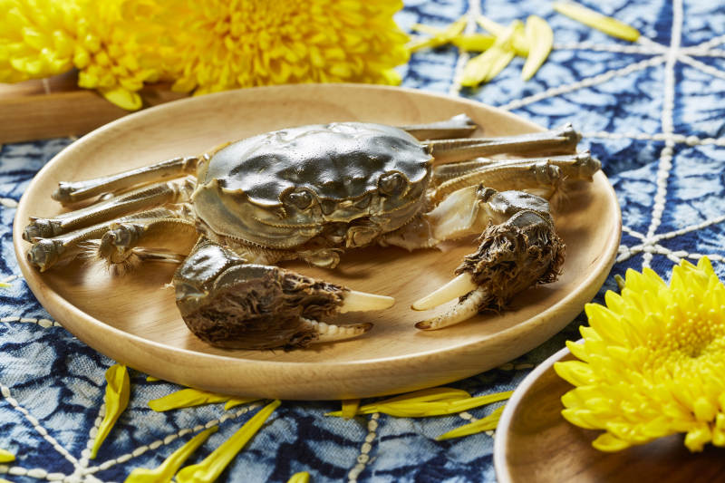 秋日蟹宴 菊香相伴图片