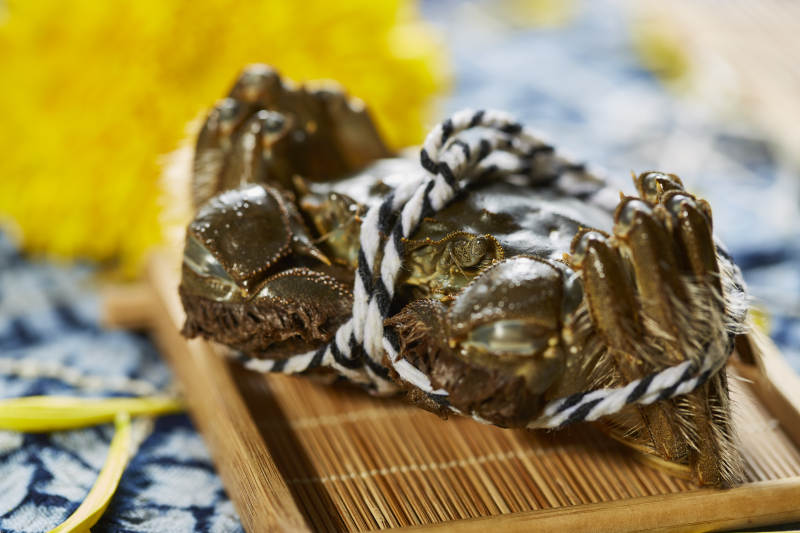 秋日美味大闸蟹图片