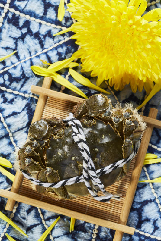 秋日蟹宴 花香相伴图片