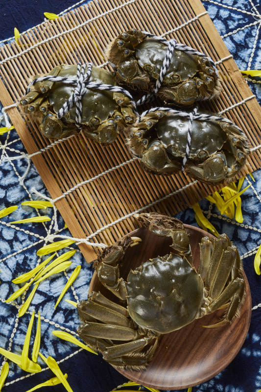 新鲜大闸蟹 美味佳肴图片