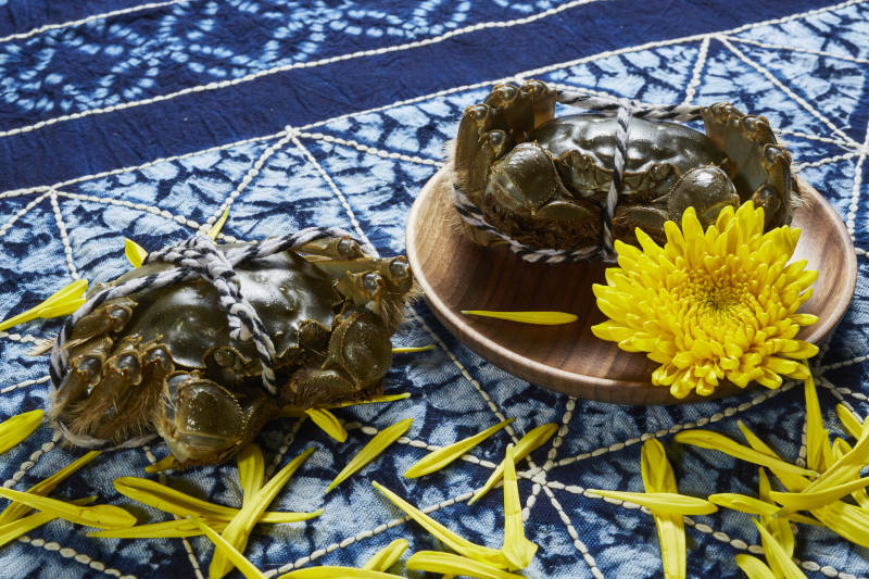 秋日蟹宴 菊花相伴图片