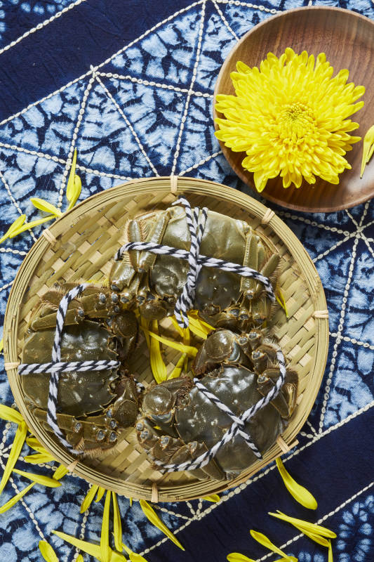 秋日蟹宴 菊花相伴图片