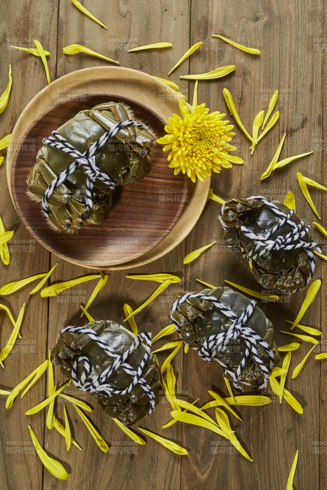 秋日蟹宴 菊香四溢图片