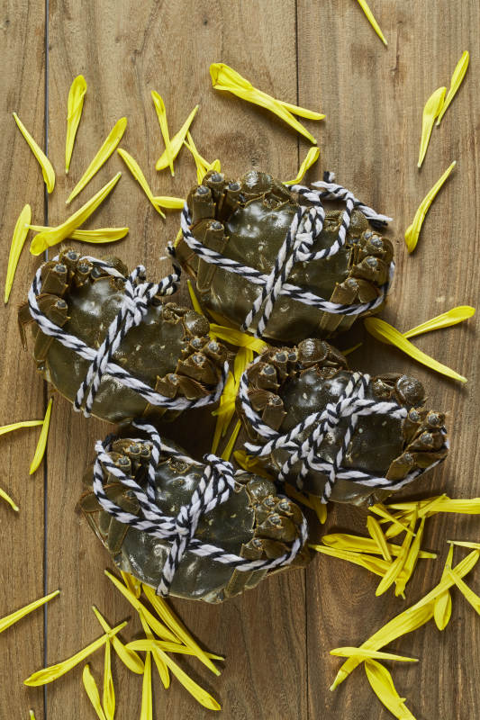 秋日蟹宴 金菊相伴图片