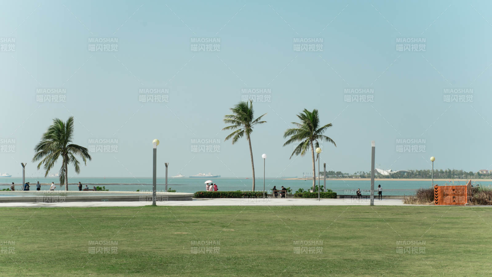 海口与椰树风光图片