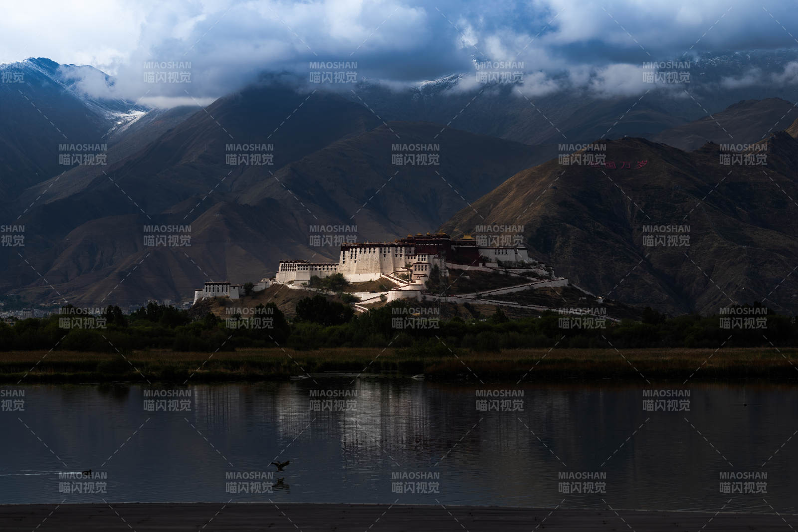 布达拉宫的宁静晨光图片