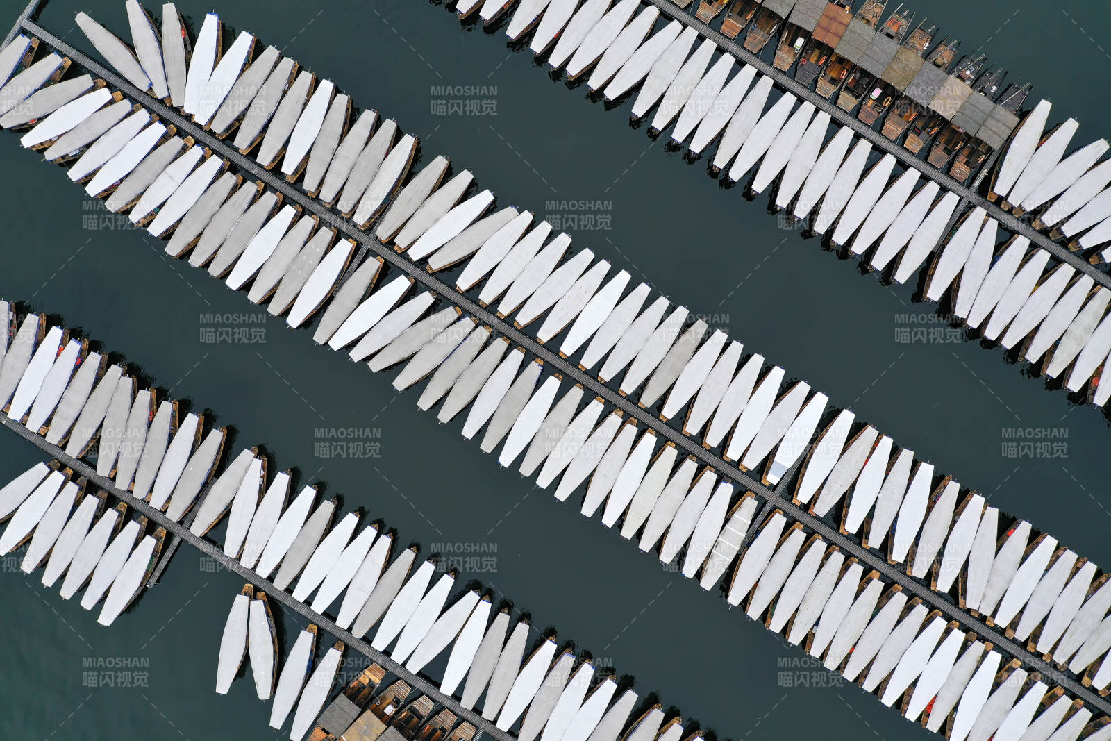 整齐排列的白色船只图片