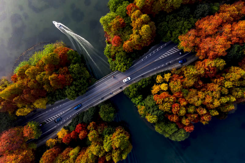 秋色桥景 车行如画图片